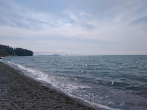 Boulevard apartment, Batumi